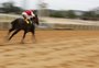 Além da tradicional corrida de cavalos, Grande Prêmio Bento Gonçalves terá arte e gastronomia