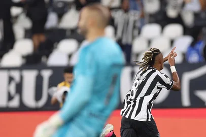 Danilo.  BOTAFOGO x Gremio pelo Campeonato Brasileiro no Estadio Nilton Santos, 16 de Setembro de 2026, Rio de Janeiro, RJ, Brasil. Na foto, Danilo Santos e Weverton (desfocado) Foto: Vitor Silva/Botafogo. Imagem protegida pela Lei do Direito Autoral NÂº 9.610, DE 19 DE FEVEREIRO DE 1998. Sendo proibido qualquer uso comercial, remunerado e manipulacao/alteracao da obra.<!-- NICAID(16367395) -->