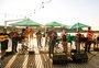 Festival de Choro da Serra Gaúcha, em São Francisco de Paula, ocorre em agosto