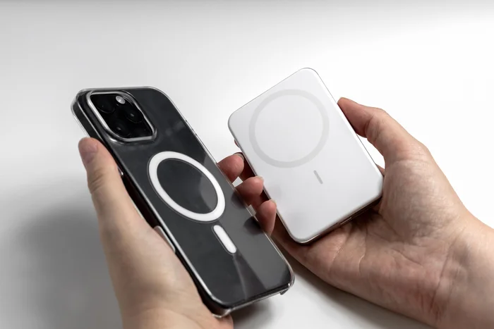 Reprodução / adobe.stock.com