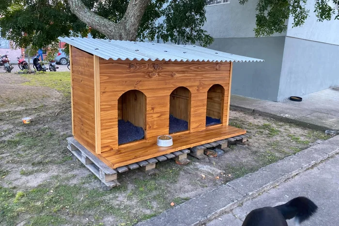 Reprodução / Núcleo Jaguarense de Assistência Animal