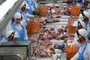 SANTA ROSA, RS, BRASIL - Alibem é uma empresa brasileira do ramo alimentício, fundada no ano de 2000 no Rio Grande do Sul. Atua no segmento de proteína animal, tendo como base duas marcas: a ALIBEM, produtora de carne suína e a AGRA, produtora de carne bovina. Fotos feitas na unidade de Santa Rosa, onde são abatidos 3.100 porcos ao dia.Indexador: Jefferson Botega<!-- NICAID(14069853) -->