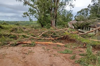 Vento provoca estragos em Pinheiro Machado<!-- NICAID(16206459) -->