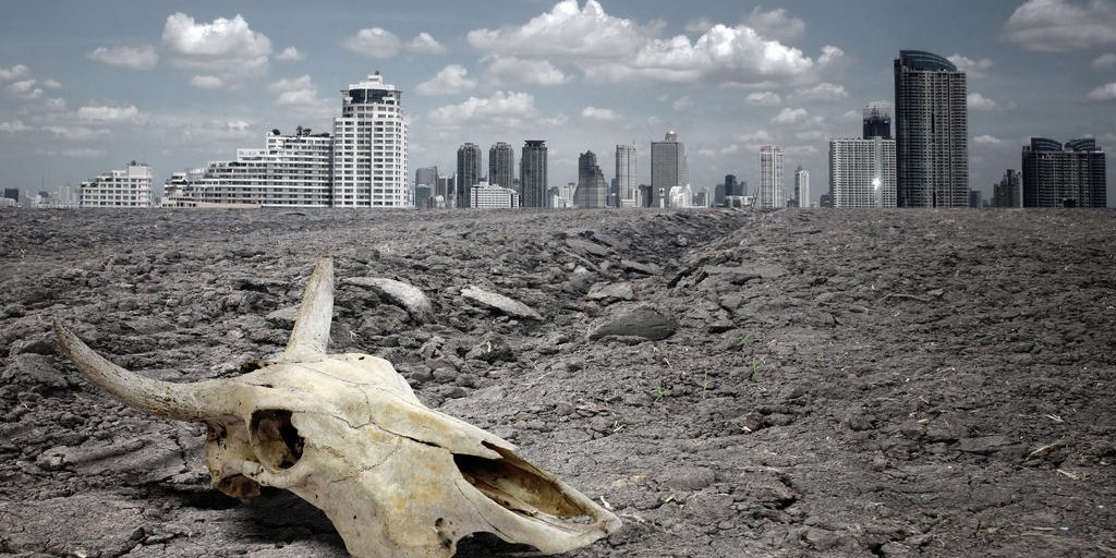 Terra caminha para sexta extinção em massa, segundo especialistas | GZH