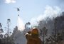 Autoridades denunciam incêndio intencional em parque na Argentina