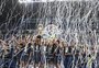 Saiba como estão os adversários do Grêmio na Série B do Brasileirão