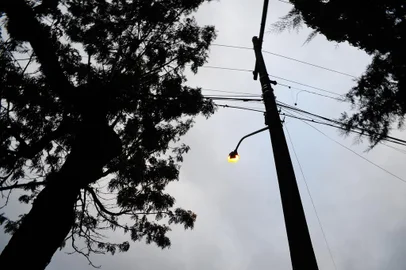 CAXIAS DO SUL, RS, BRASIL, 09/06/2017 - Rodrigo Linhares Martins, 29 anos, gerente da filial da Padaria Veneza do bairro Marechal Floriano, relata prejuízo de estabelecimento com falta de energia elétrica após temporal. Segundo ele, houve perda de faturamento de cerca de R$ 10 mil.<!-- NICAID(12964084) -->