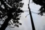 CAXIAS DO SUL, RS, BRASIL, 09/06/2017 - Rodrigo Linhares Martins, 29 anos, gerente da filial da Padaria Veneza do bairro Marechal Floriano, relata prejuízo de estabelecimento com falta de energia elétrica após temporal. Segundo ele, houve perda de faturamento de cerca de R$ 10 mil.<!-- NICAID(12964084) -->
