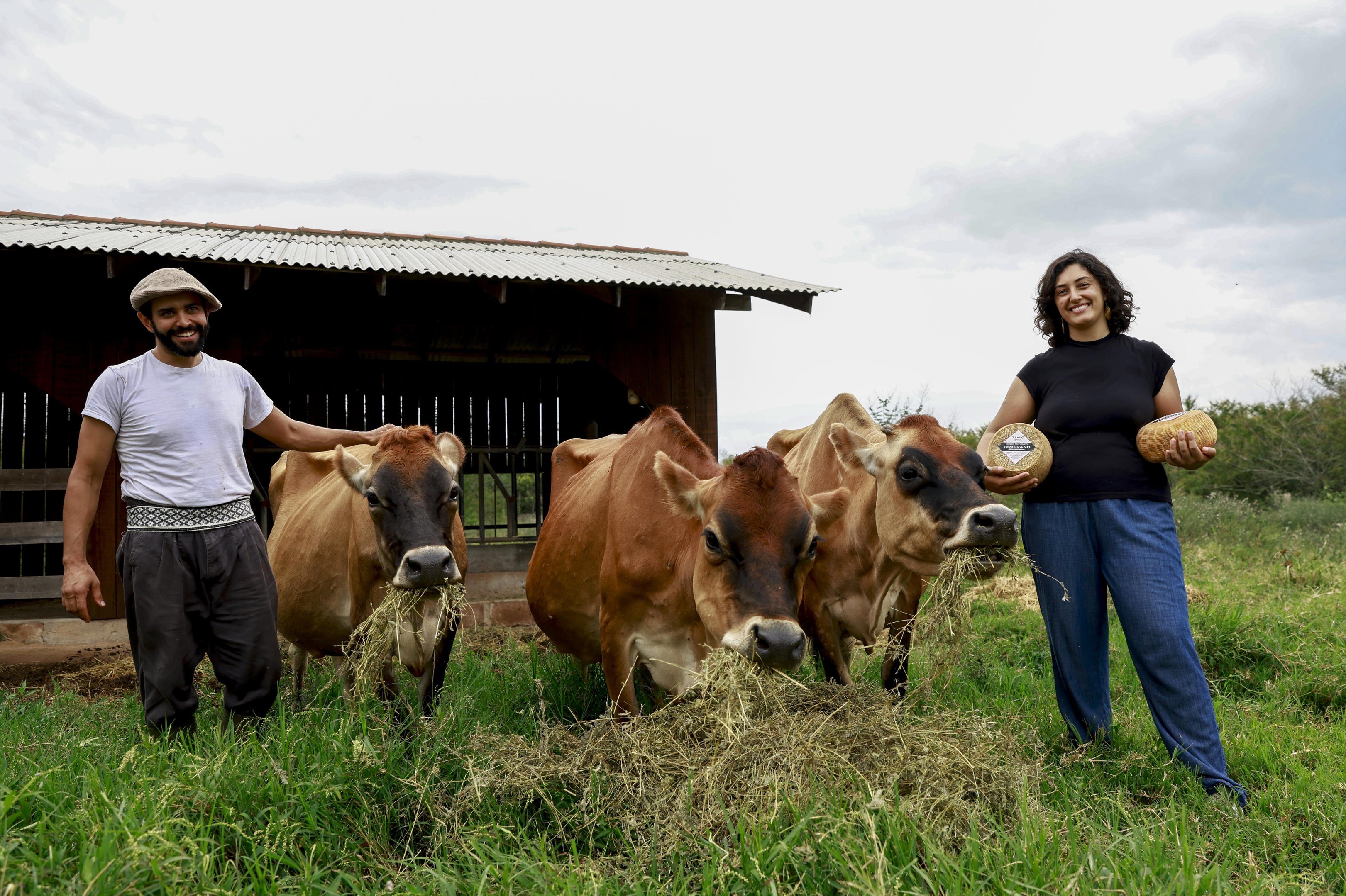 Vacas, queijos autorais premiados e piquenique sob a figueira: conhe&ccedil;a uma "outra" Porto Alegre