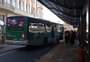 255 Caldre Fião é raridade
nas paradas de Porto Alegre