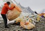 Alpinista paquistanês limpa encostas da segunda maior montanha do mundo em homenagem ao pai