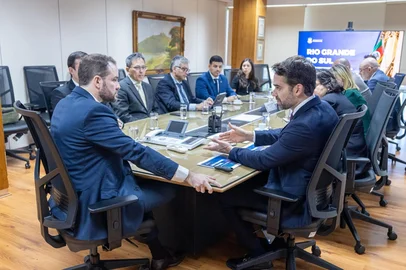 Eduardo Leite em reunião com ministro da Fazenda, Dario Durigan<!-- NICAID(16344107) -->