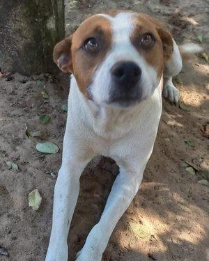 Arquivo pessoal / Arquivo pessoal Arquivo pessoal / Arquivo pessoal