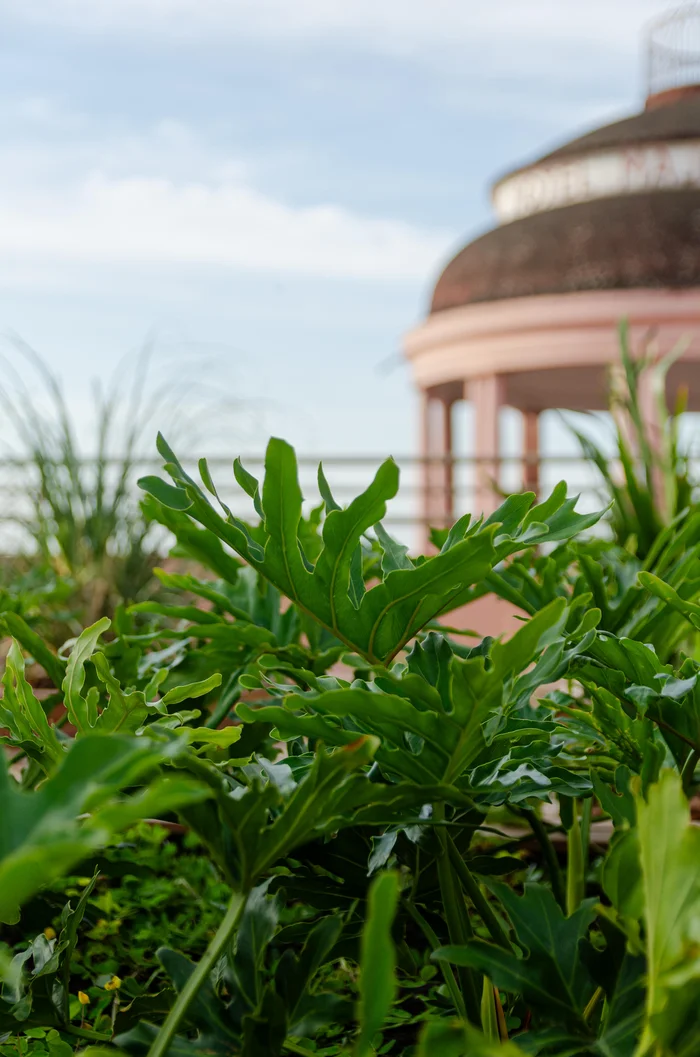 Gui Rangel / Divulgação Gui Rangel / Divulgação