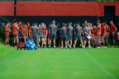 Paulo Sousa, Flamengo