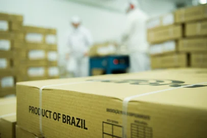 ABPA / Divulgação Embarques de carne suína brasileira alcançam volume recorde em 2020<!-- NICAID(14683774) -->