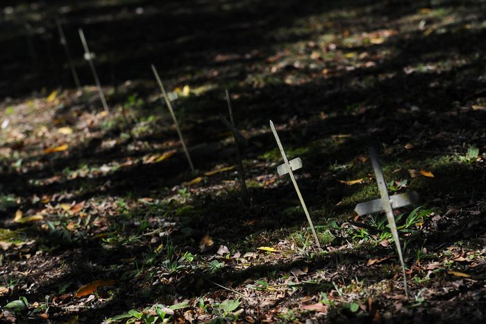 Bruno Todeschini / Agencia RBS