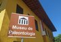 Museu do Ceará deve receber fóssil de dinossauro brasileiro que foi levado de forma irregular para a Alemanha em 1995