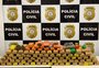 Polícia apreende cerca de cem quilos de maconha em Canoas e em Esteio