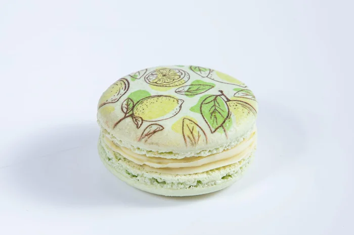 Helen Caroline Fotografia / Divulgação