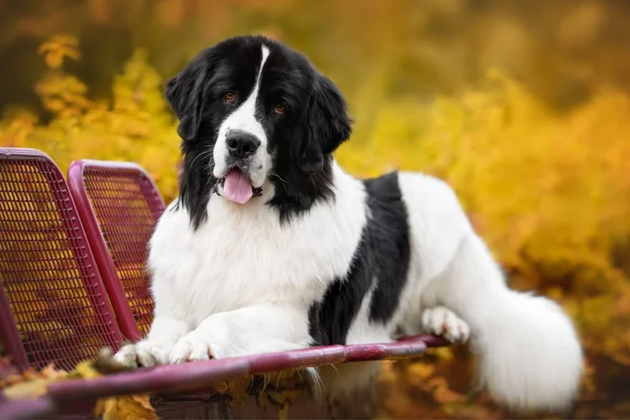 otsphoto / Shutterstock</div>
<div> | Portal EdiCase