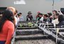 "É uma sensação incrível poder pôr a mão na massa": alunos visitam Viveiro Municipal e aprendem sobre produção de mudas