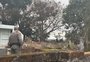 Jovem desaparecido é encontrado morto em cemitério de Santo Ângelo