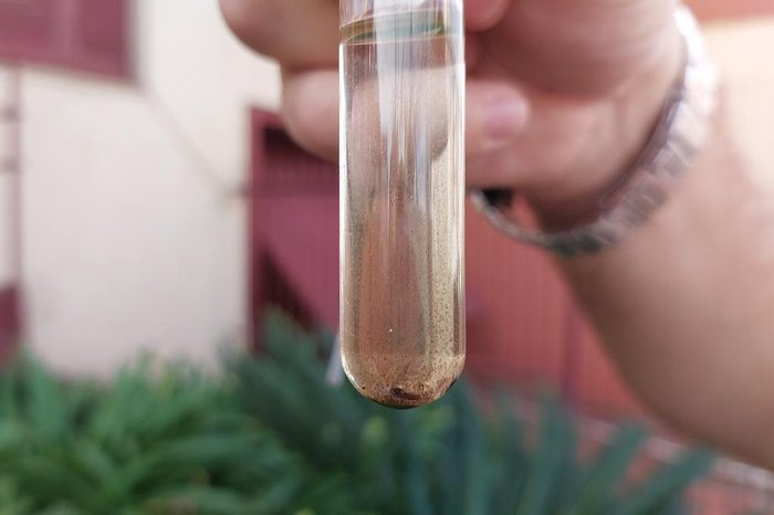 Rosângela Borges / Agência RBS