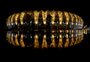 FOTOS: Beira-Rio é iluminado em alusão ao Julho Amarelo