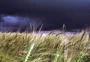 O que a experiência de episódios recentes tem a ensinar sobre os riscos do El Niño à produção do RS 