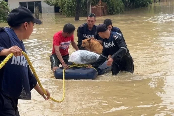 @Semar_mx / Divulgação @Semar_mx / Divulgação