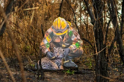 Kobra faz intervenção artística em área de mata devastada por queimadas no interior de SP.Foto: Wellington Silva / Turbo Labs /Studio Kobra/Divulgação<!-- NICAID(15894747) -->