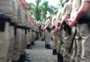 BM afasta mais dois soldados por suspeita de irregularidades em seletiva de sargentos