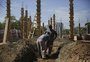 Roda-gigante, Praça da Harmonia e playgrounds temáticos: veja como estão as obras no Parque Maurício Sirotsky Sobrinho 