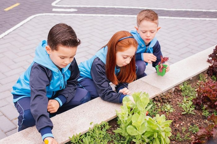 Rede de Educação Adventista / Divulgação Rede de Educação Adventista / Divulgação