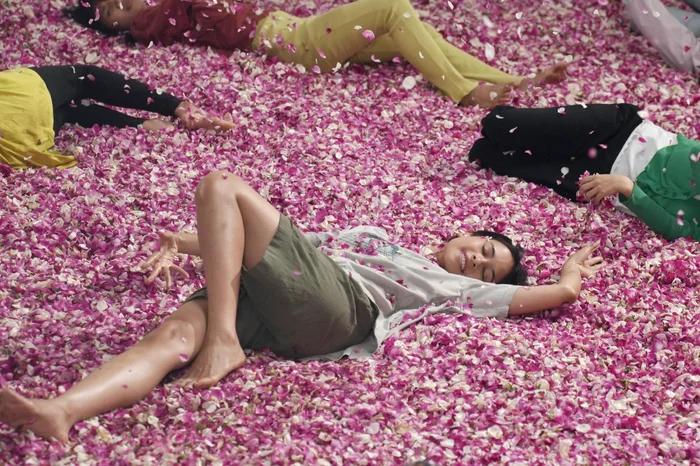 Fantaspoa 2026 / Divulgação