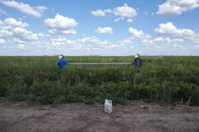 Trabalhadores aplicavam agrotóxicos pelo método conhecido como "barra química", mas sem o uso de qualquer equipamento de proteção<!-- NICAID(15378833) -->
