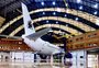 Liberado para operar hangar usado pela Varig por 70 anos e alugado por empresa de Dubai