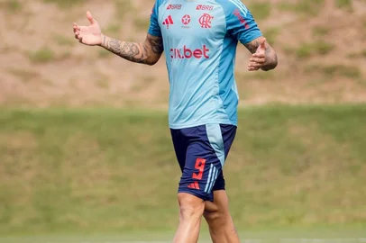 Pedro, futebol, Flamengo