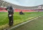Após novo plantio, gramado do Beira-Rio ainda não estará 100% no amistoso entre Inter e México