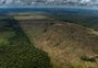 Devastação com escala: Amazônia perdeu 2 mil campos de futebol em 2022. Por dia