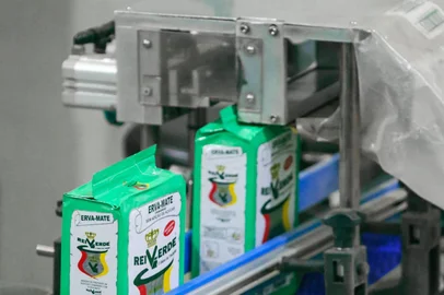 Rei Verde<!-- NICAID(16161206) -->