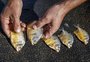 Palometas se aproximam da bacia do Tramandaí; entenda por que isso é um problema ambiental