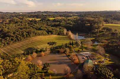 Madre Terra / Divulgação Vinícola Madre Terra, de Flores da Cunha.<!-- NICAID(16011760) -->