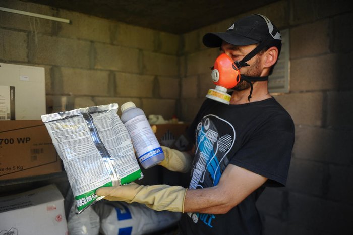 Bruno Todeschini / Agencia RBS Bruno Todeschini / Agencia RBS