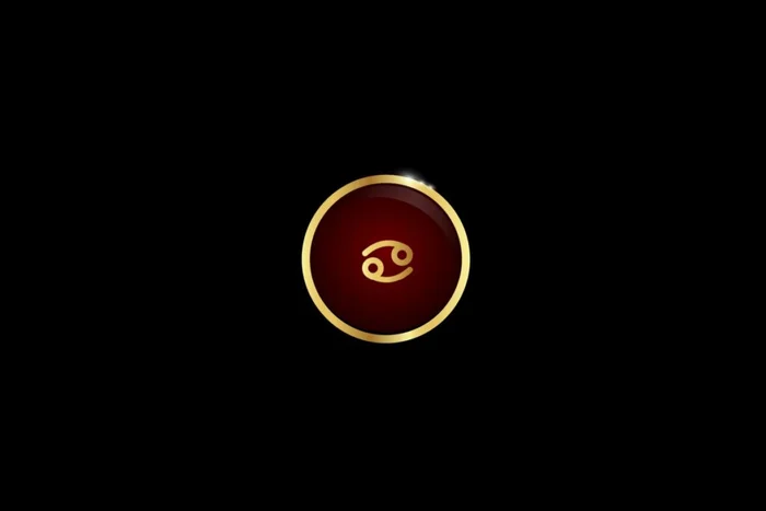 Vivi Petru / Shutterstock | Portal EdiCase