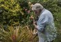 Rosane de Oliveira: Pepe Mujica, o homem que não se deslumbrou com o poder