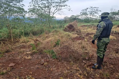 Brigada Militar flagra 33.300 metros quadrados de desmatamento em Ajuricaba<!-- NICAID(15808856) -->