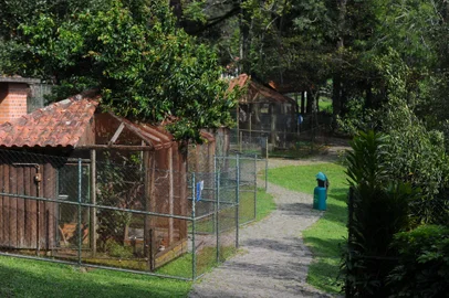 CAXIAS DO SUL, RS, BRASIL, 21/09/2023. A reportagem foi até o Zoológico da UCS, conhecer um pouco da rotina deles com o ambiente fechado para a visitação do público. (Bruno Todeschini/Agência RBS)Indexador: BTK<!-- NICAID(15548753) -->