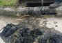 Ligações clandestinas de esgoto são descobertas em bairro de Rio Grande após denúncias